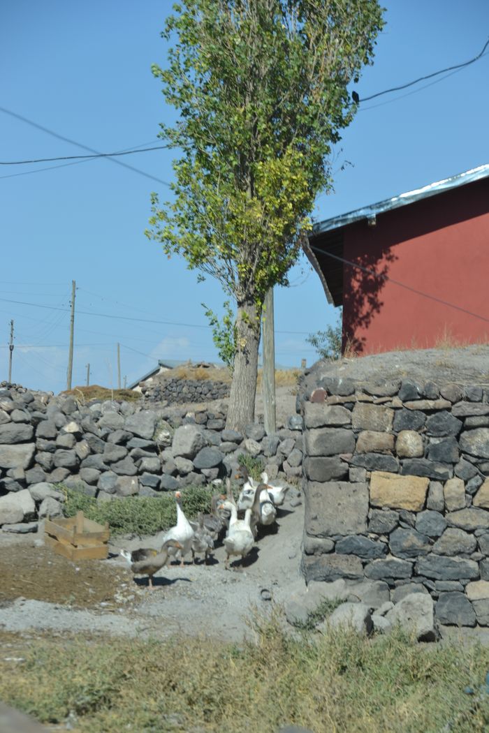 Prodikos dinin insanlarca pratik ihtiyaçları karşılamak