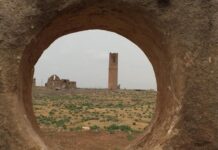 Türk ve İslâm Eserleri Müzesi Sergileri ve Katkıları